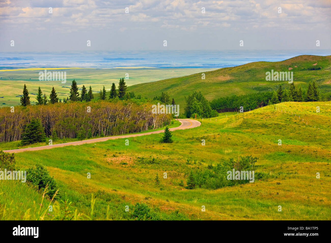 Overview of Cypress Hills Interprovincial Park seen from the Reesor
