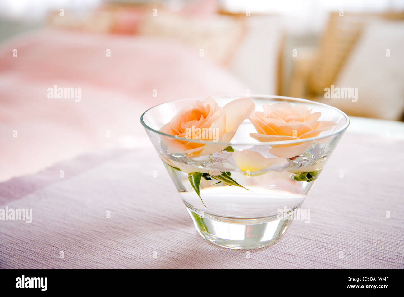 Floating Delicate Rose in Glass Ware Stock Photo