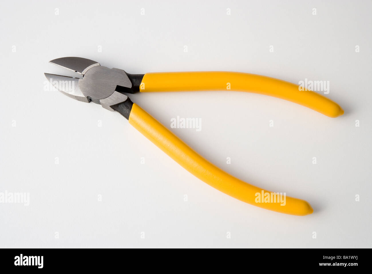 Nippers in Studio Stock Photo Alamy