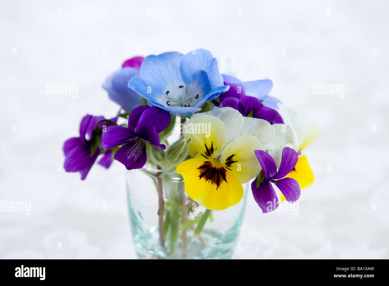 Colourful Flowers in Vase Stock Photo - Alamy