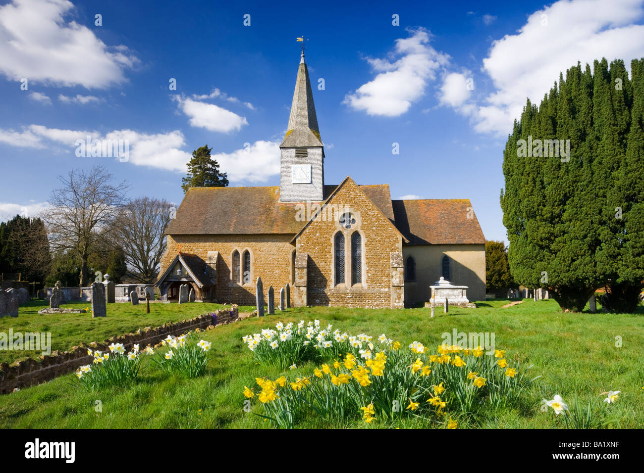 Thursley church and daffodils, Surrey, UK Stock Photo
