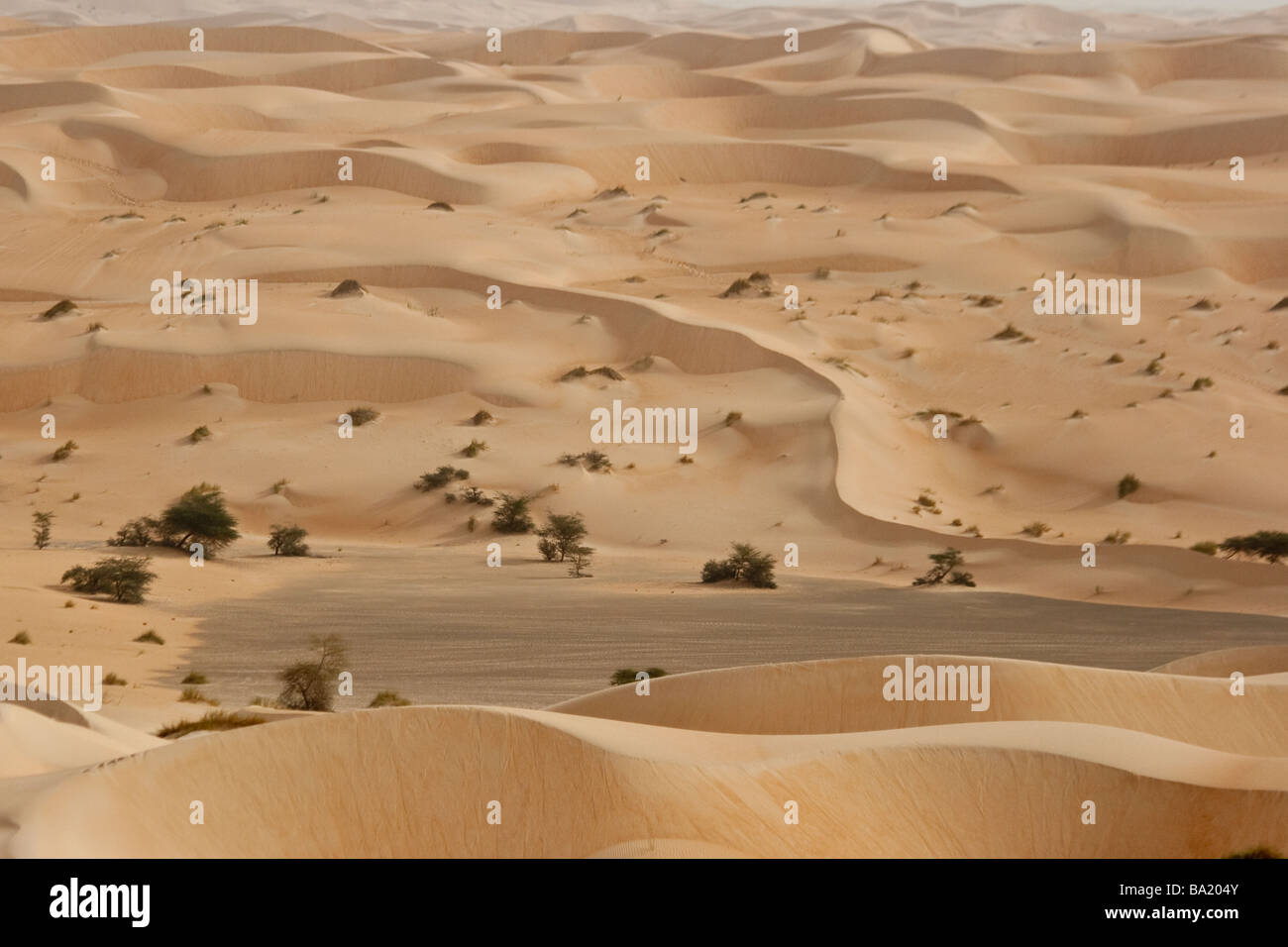 Sand Dunes of the Sahara Desert near Chinguetti Mauritania Stock Photo