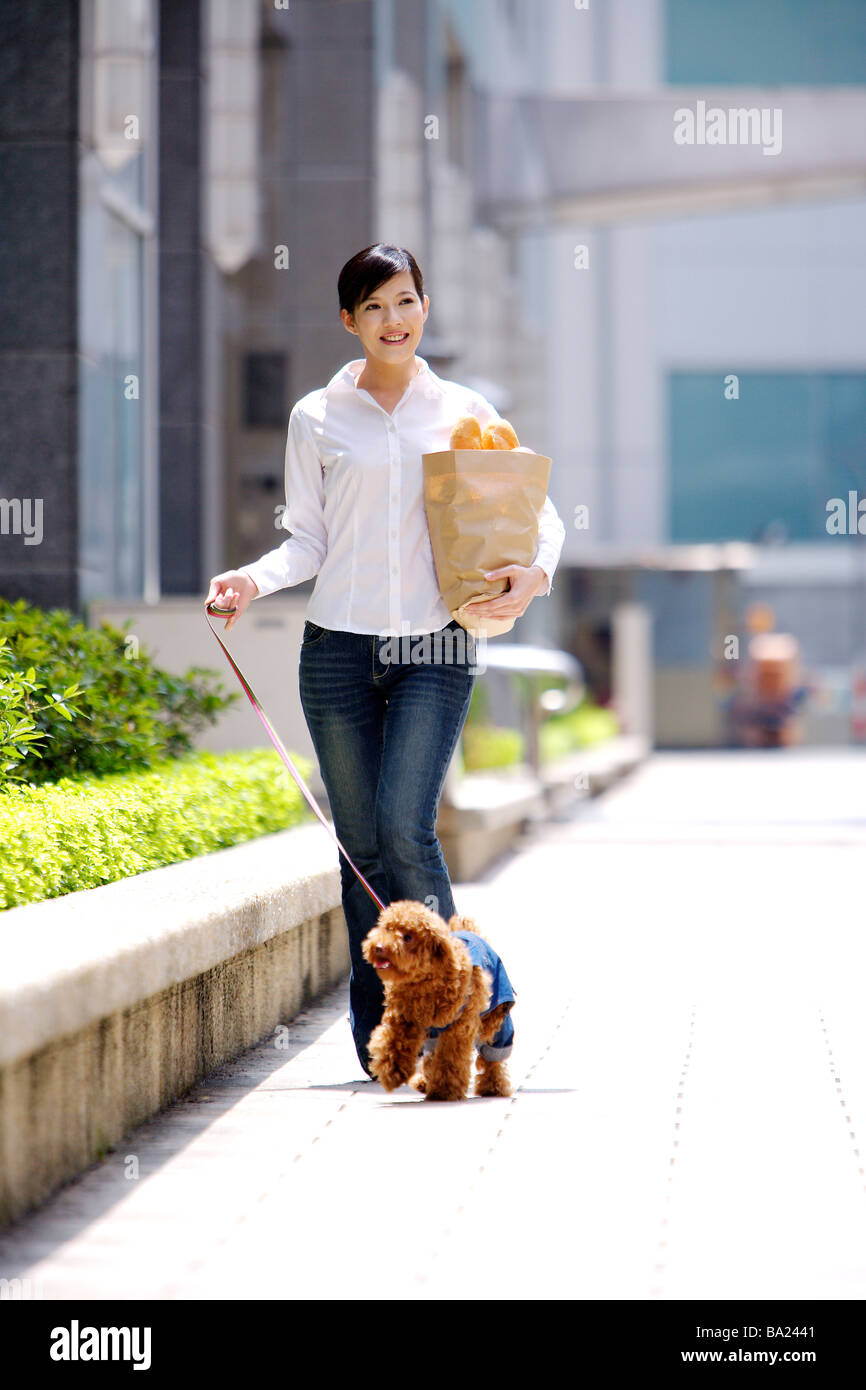 Toy clearance poodle walking