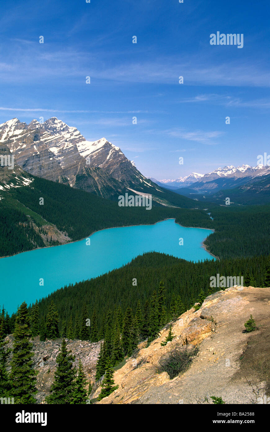 Peyto Lake, Banff National Park, Canadian Rockies, Alberta, Canada ...