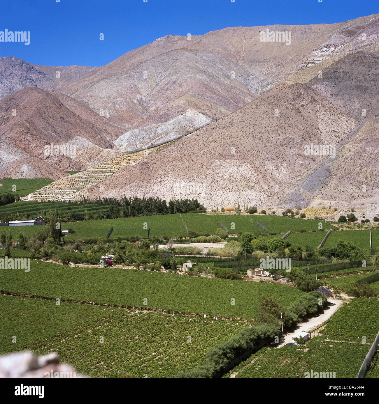 Chile Valle Del Rio Elqui oasis wine-growing landscape mountains South America small north economy agriculture Elqui-Tal valley Stock Photo
