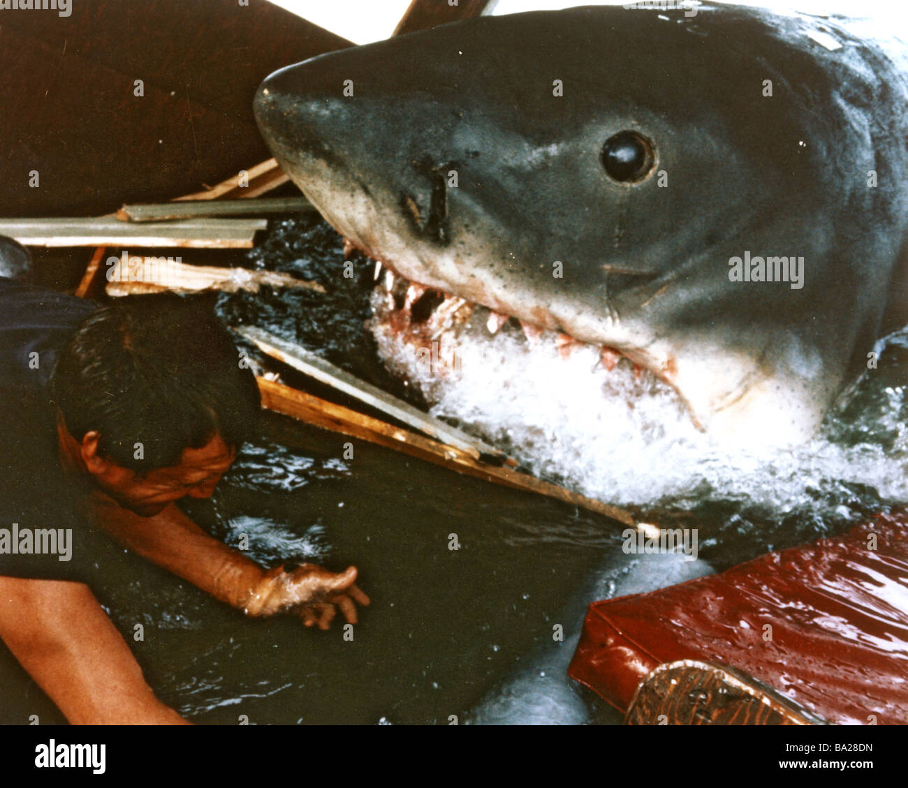JAWS  1975 Universal film Stock Photo