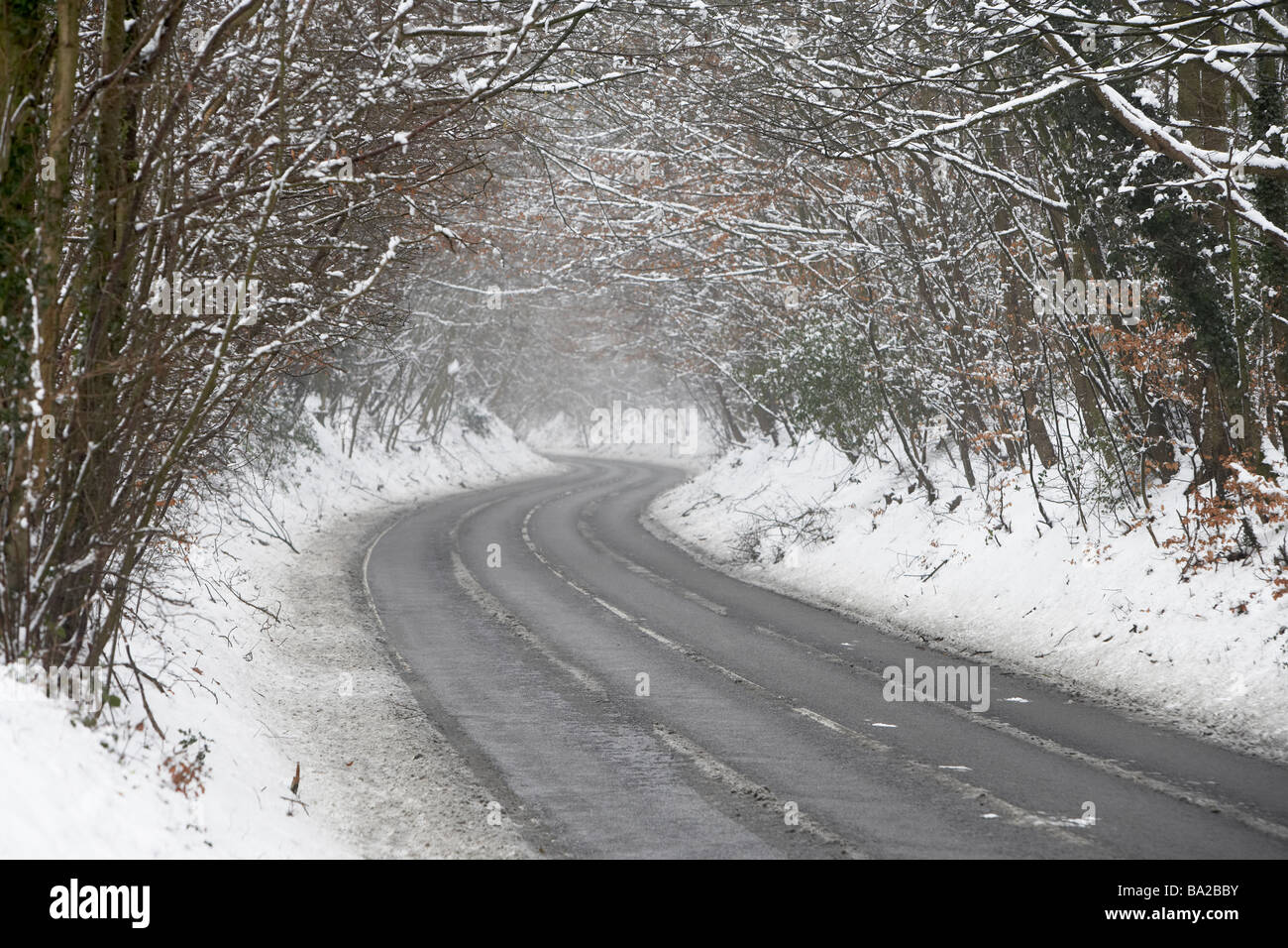Country Road Lined With Snow And Skeletal Trees Stock Photo - Alamy