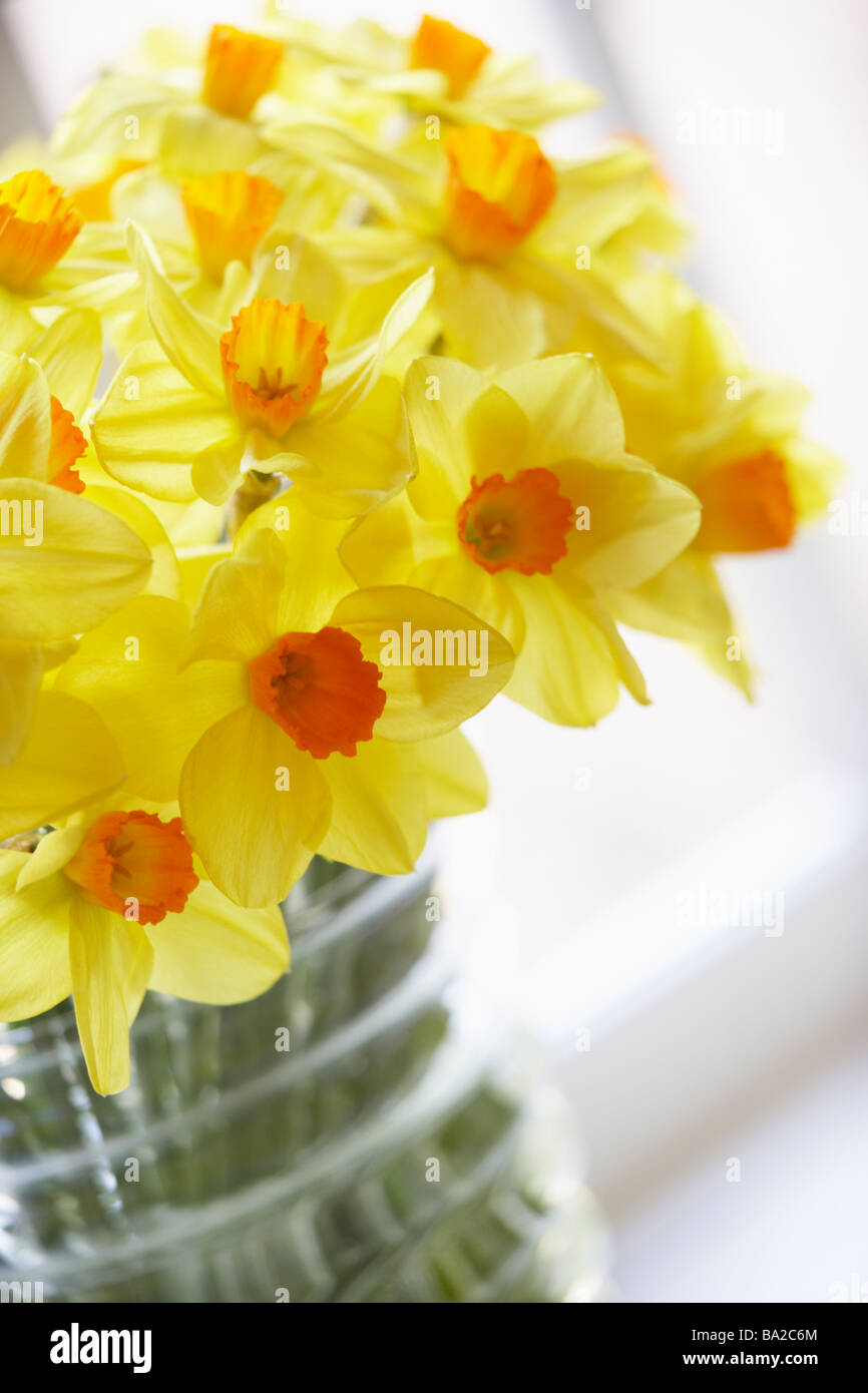 Bouquet Of Daffodils Stock Photo - Alamy