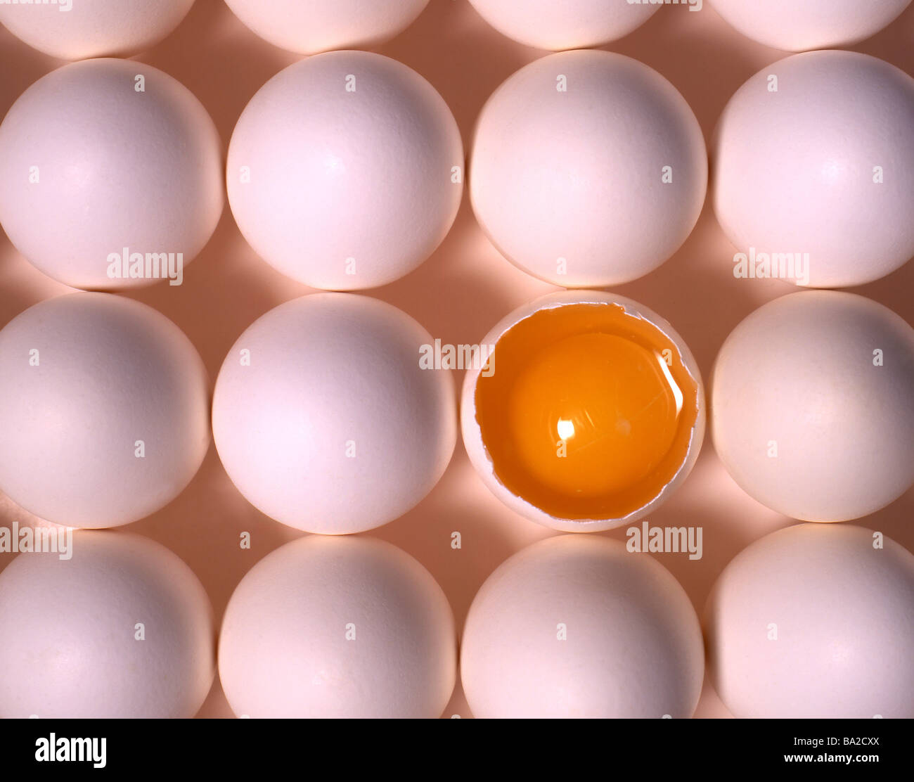 Eggs Stock Photo