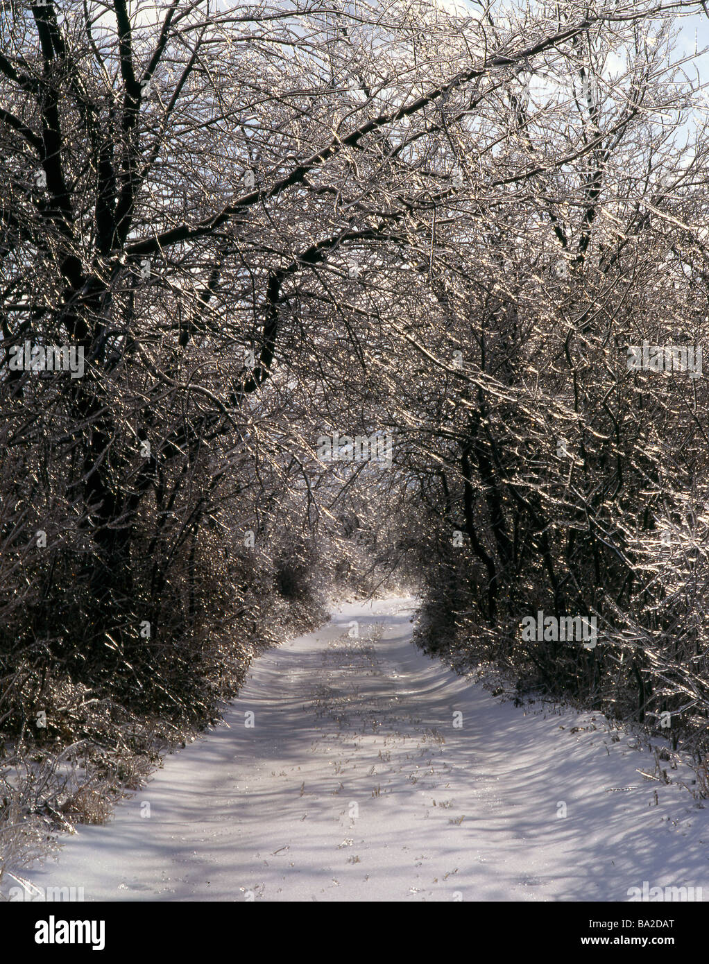 Icy road hi-res stock photography and images - Alamy