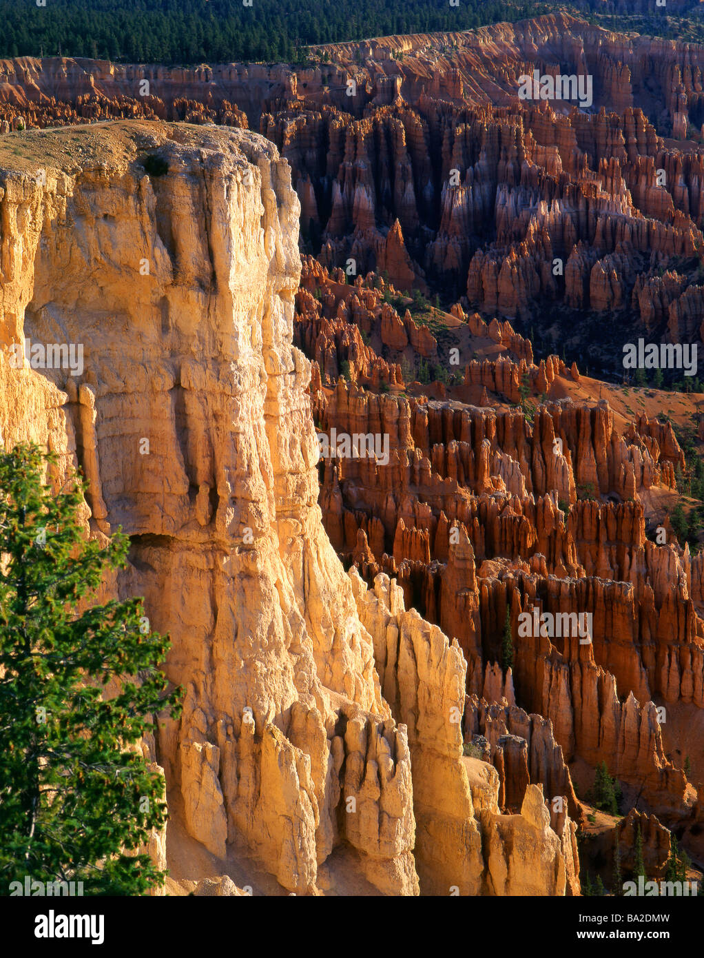 Bryce canyon in morning sun Utah USA Stock Photo Alamy