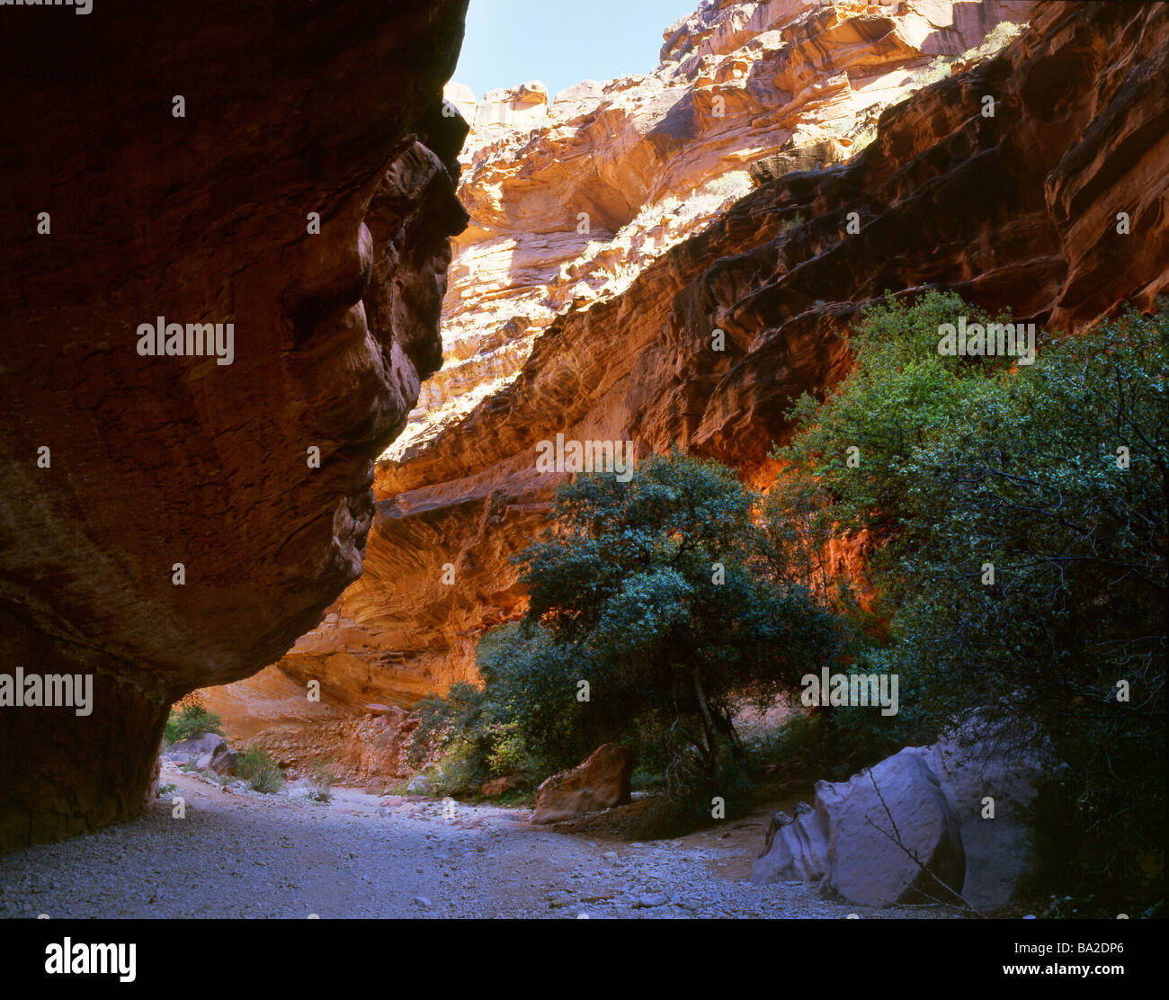 Bottom of canyon hi-res stock photography and images - Alamy
