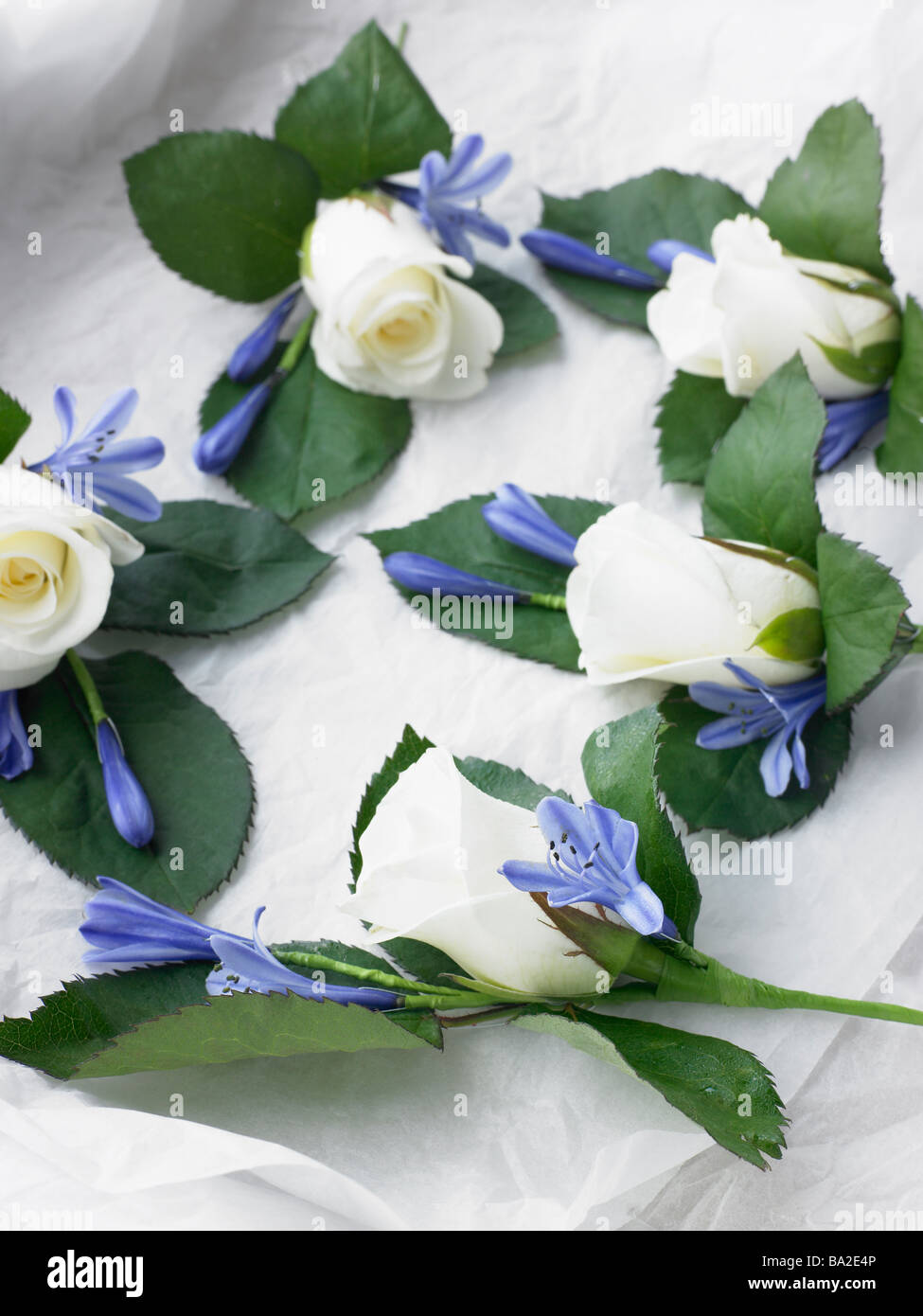 Flower corsages hi-res stock photography and images - Alamy