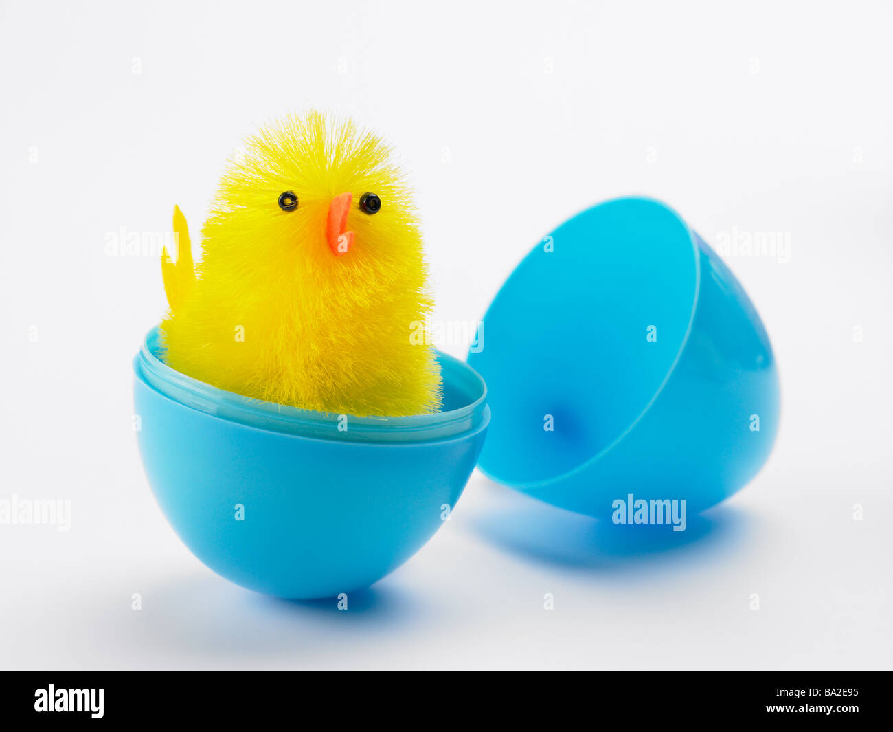 hatching chick egg toy