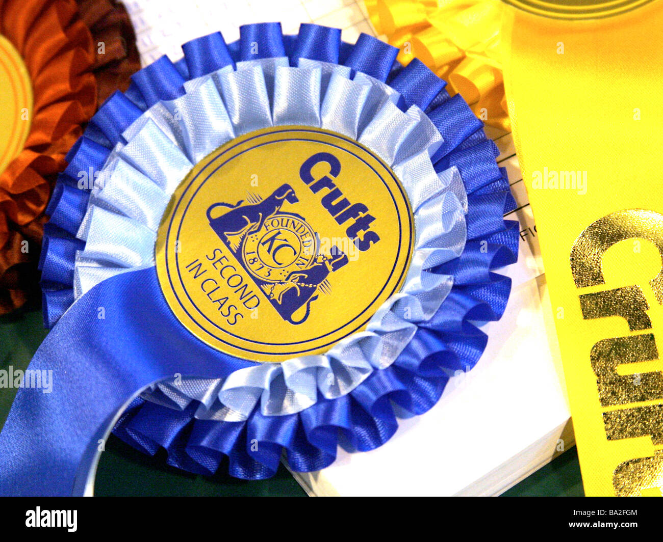 Crufts rosettes, award winning dogs  best in show Stock Photo