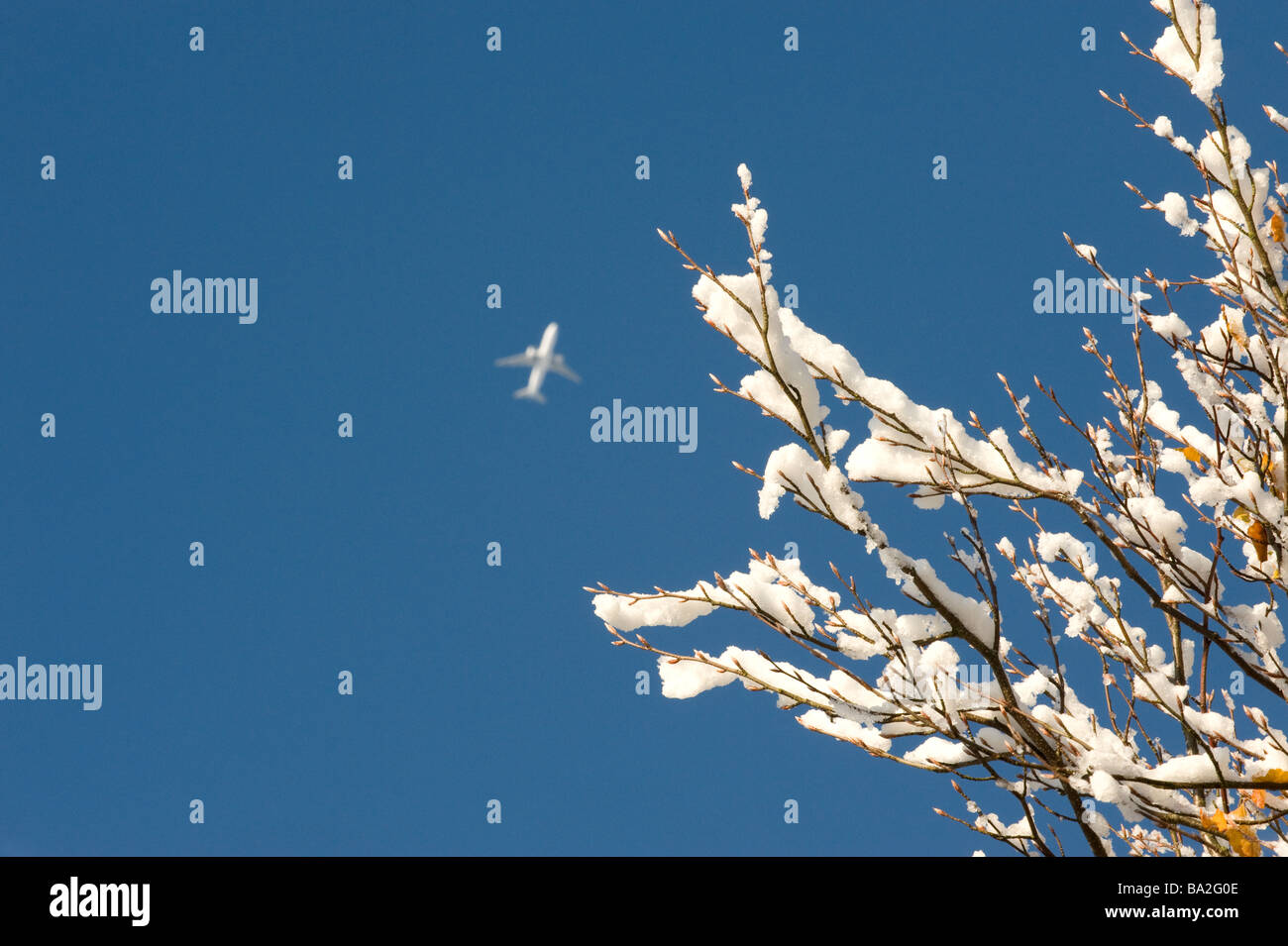 AEROPLANE FLYING HIGH IN BLUE SKY ABOVE FROST COVERED TREE BRANCHES Stock Photo