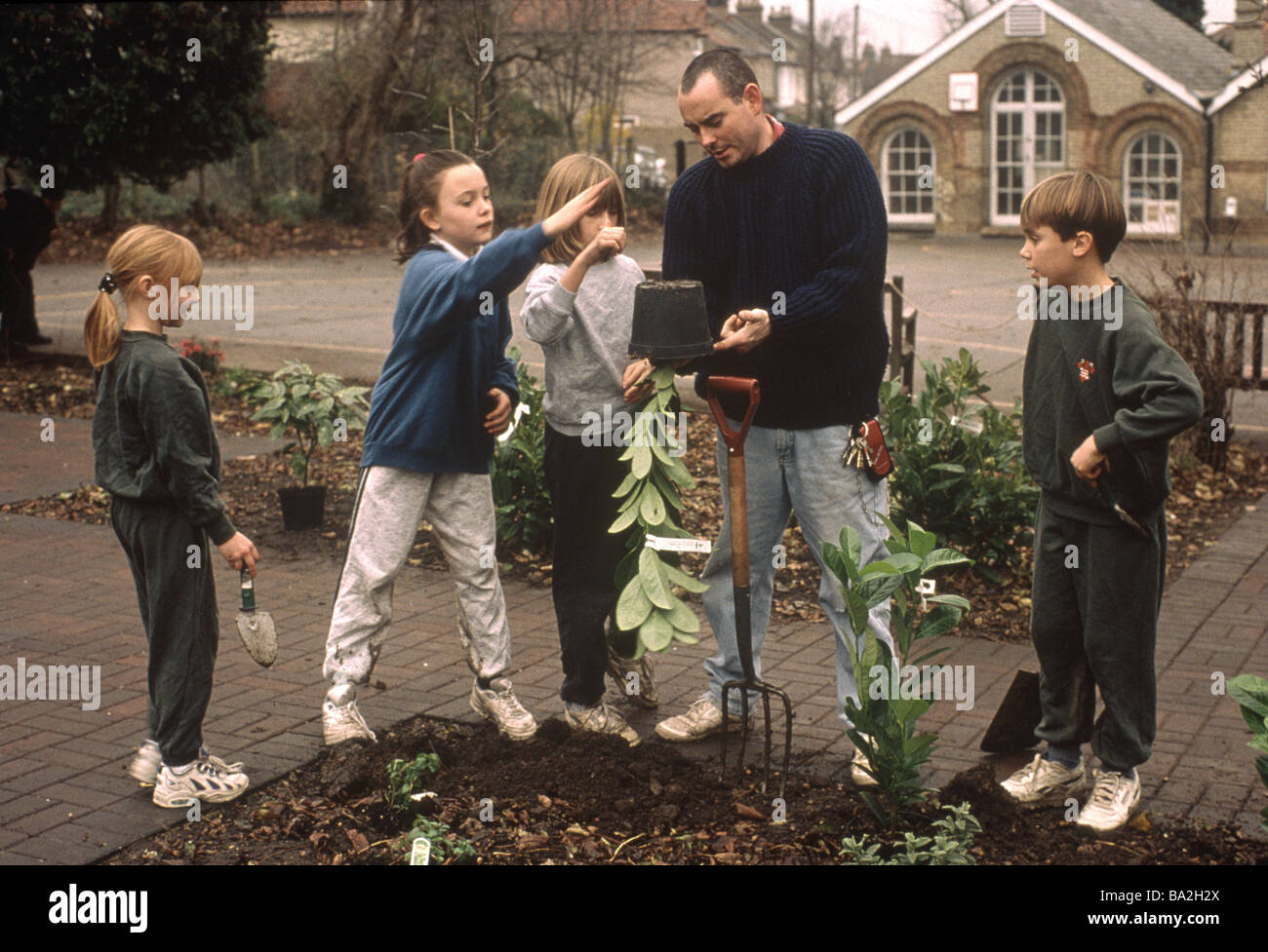 Primary school children planting shrubs in school garden Stock Photo