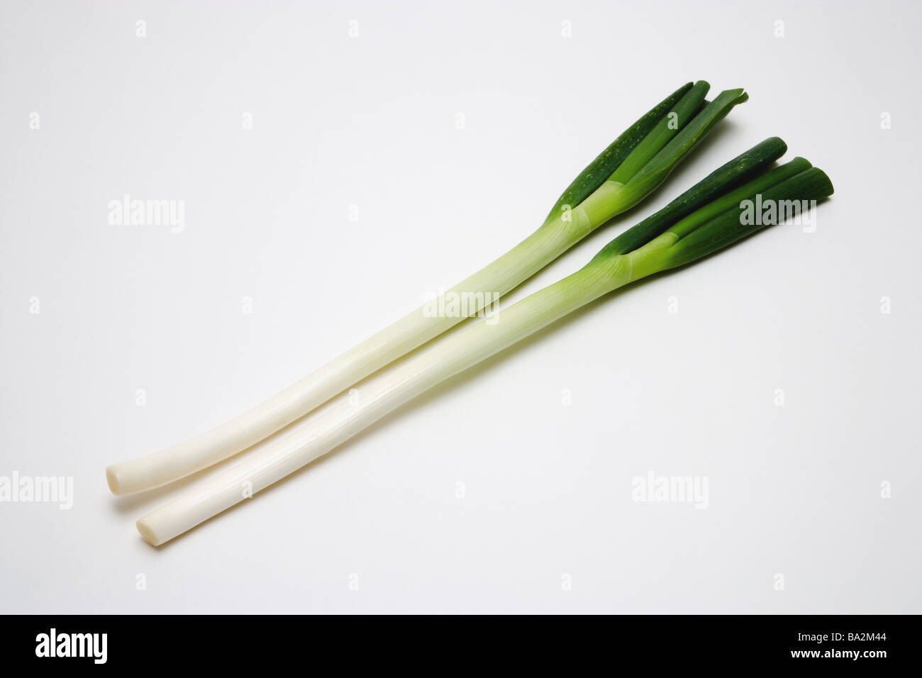 Japanese Leek on White Background Stock Photo Alamy