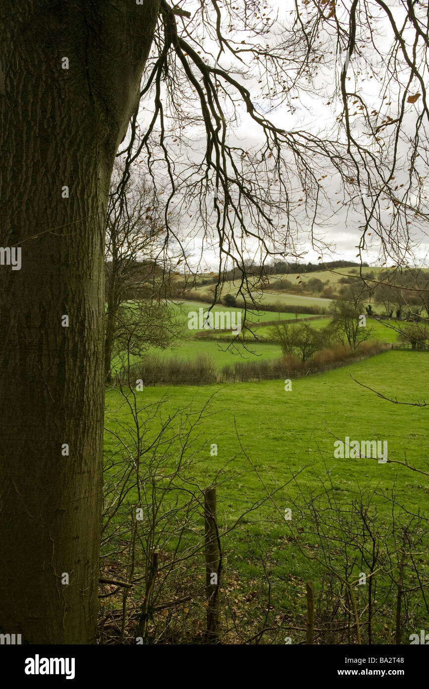 view of the countryside in buckinghamshire, england,uk Stock Photo