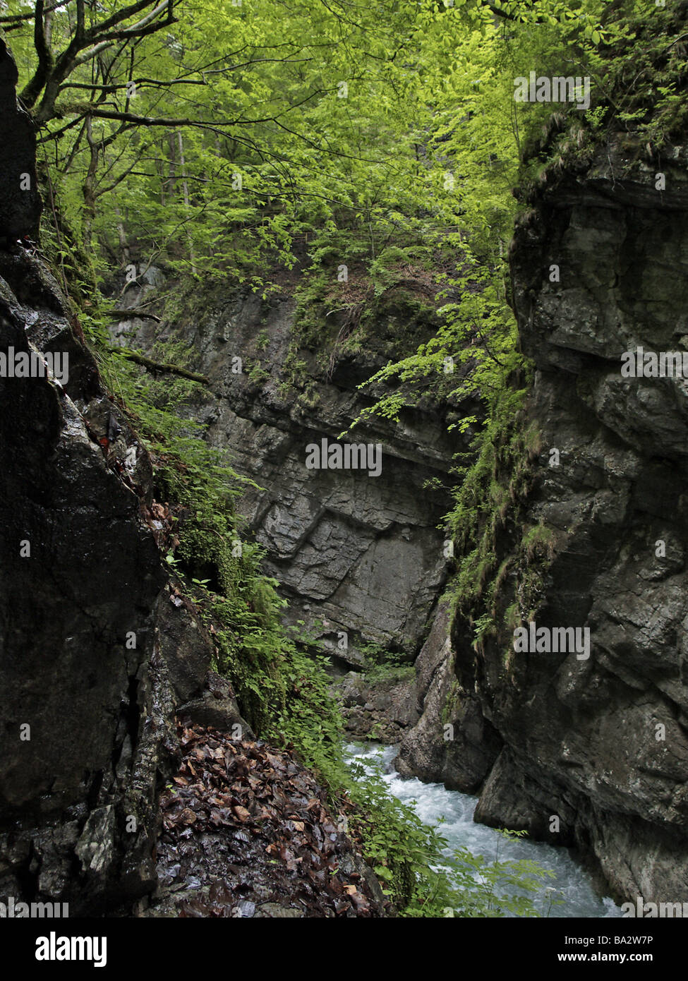 European Ravines Germany Bavaria Garmisch-Partenkirchen part-after-ravine Europe waiter ...
