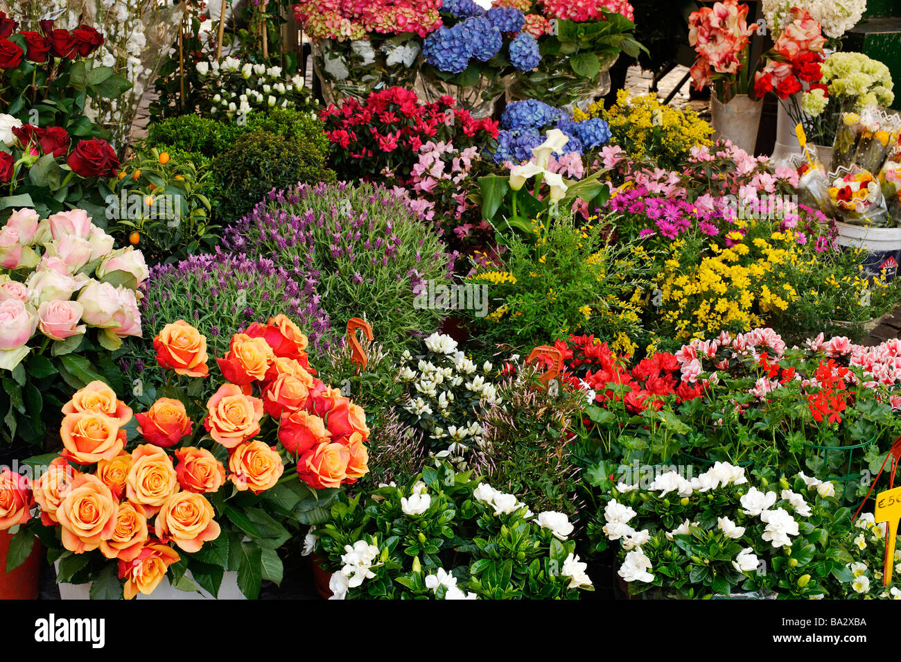 Italy Flower Market High Resolution Stock Photography and Images - Alamy