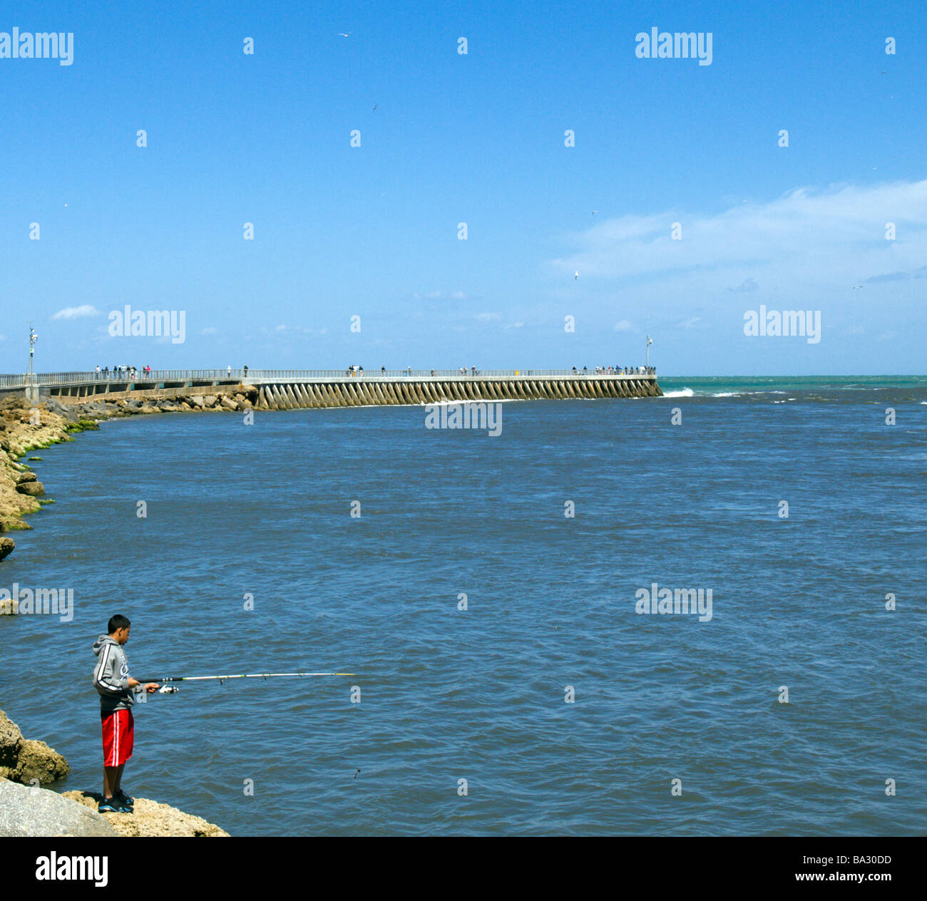 Sebastian Inlet State park is one of the best fishing spots on the