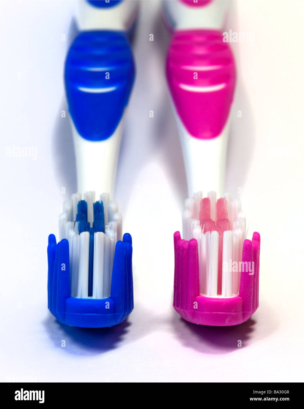 Two Toothbrushes Stock Photo