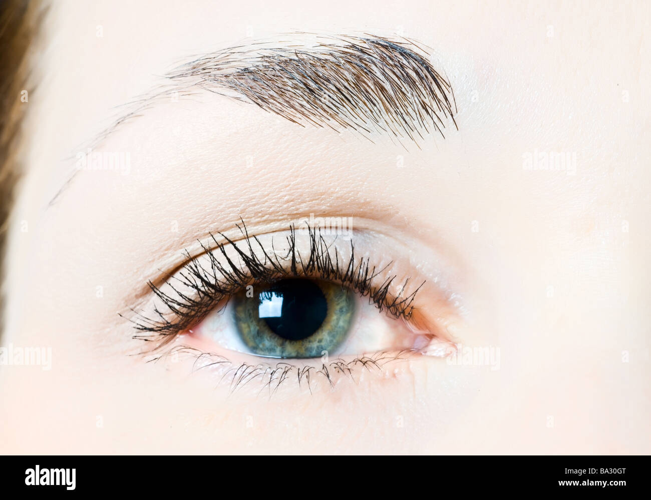 C eye hi-res stock photography and images - Alamy