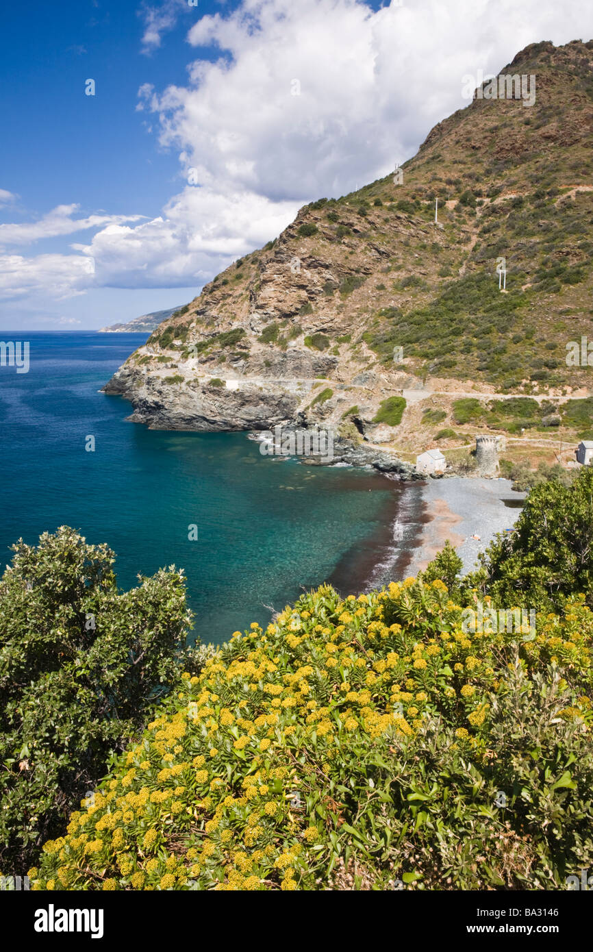 Pebble beach at the Marine de Negru Cap Corse Corsica France Stock Photo
