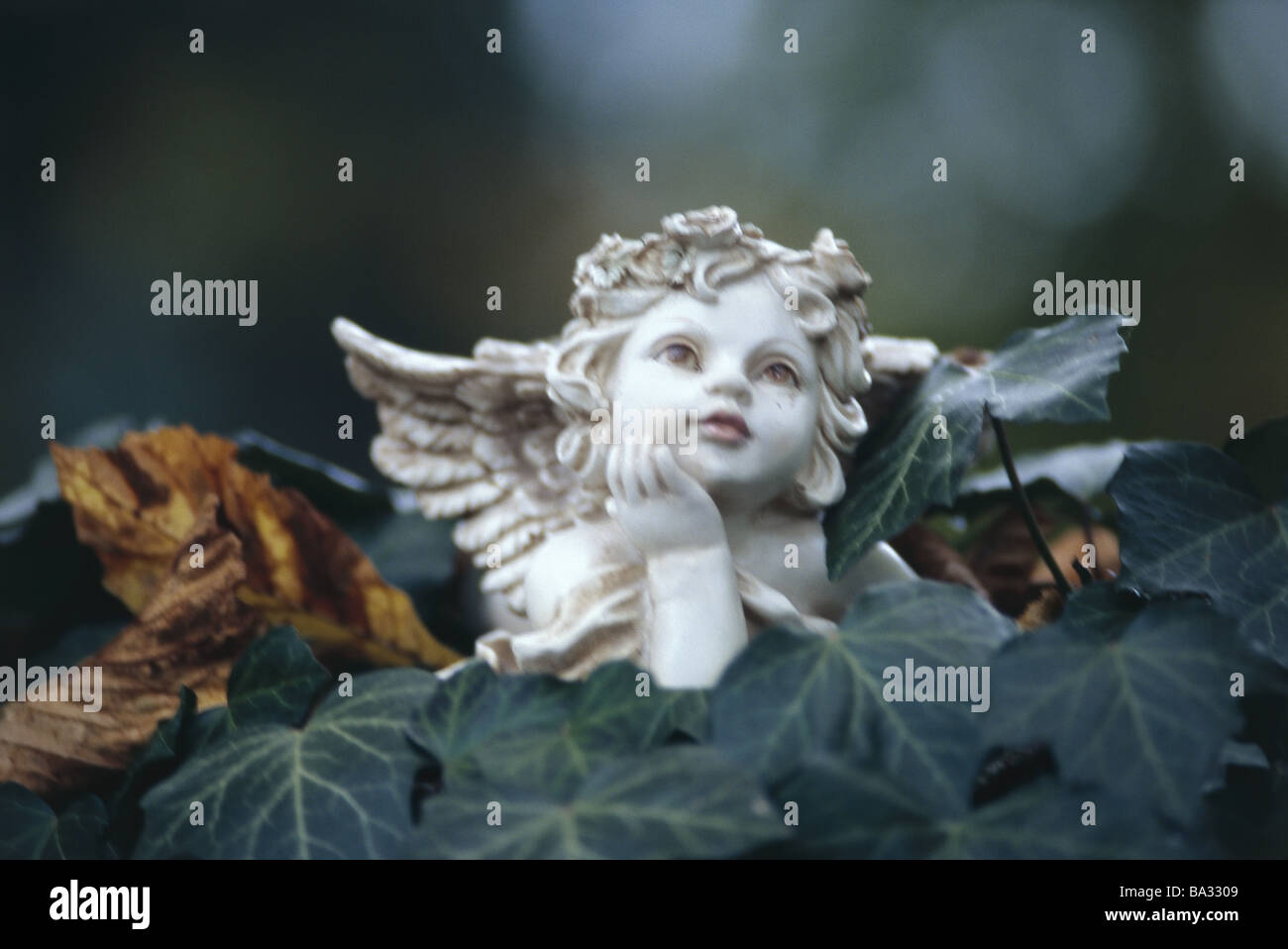Ivy porcelain-angels head rests portrait graveyard grave shrines silence-place graveyard-angels angels commemorations monument Stock Photo