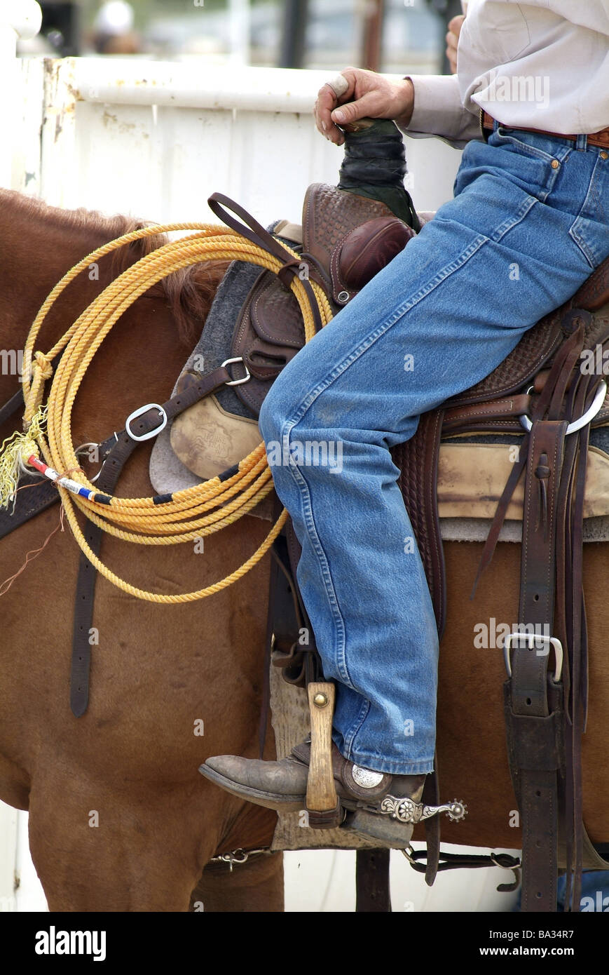 Stirrup bone hires stock photography and images Alamy