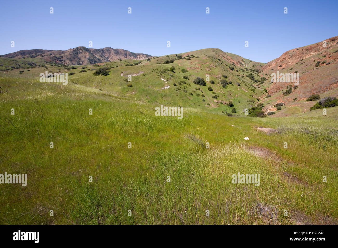 View of Smugglers Canyon and Montannon Ridge, Santa Cruz Island, Channel Islands National Park, California Stock Photo
