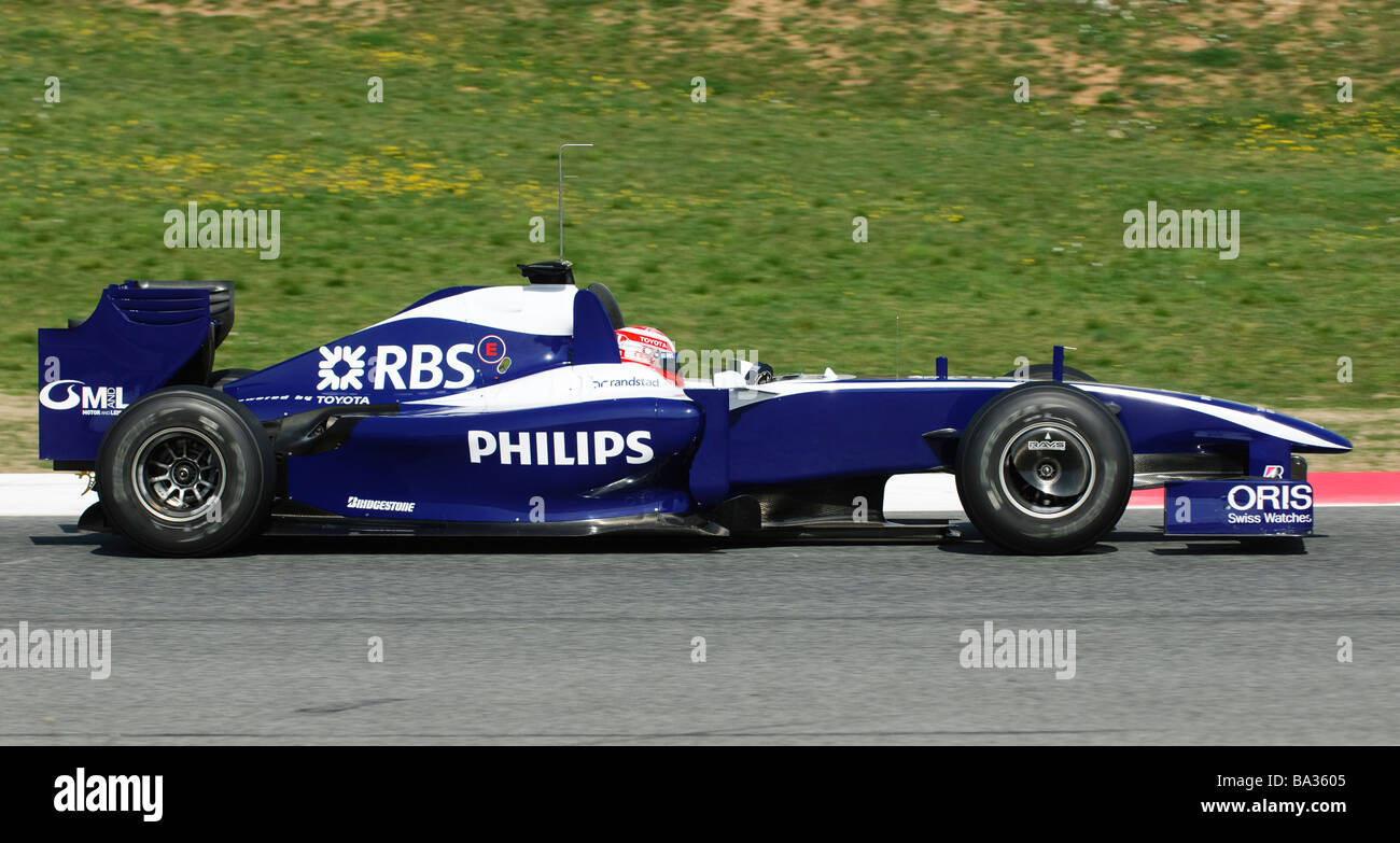 williams fw 31