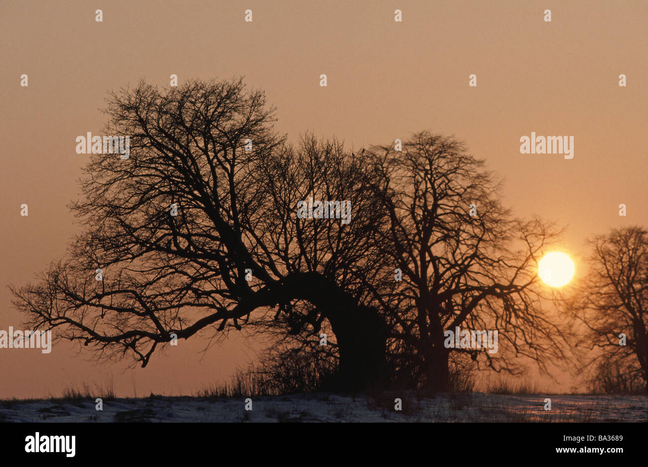 Photo of a sunset hi-res stock photography and images - Alamy