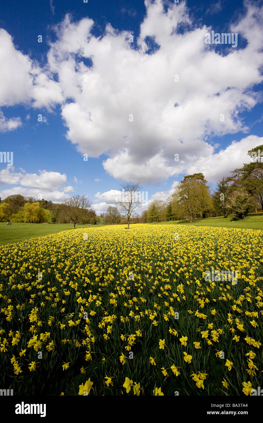 High hires stock photography and images Alamy