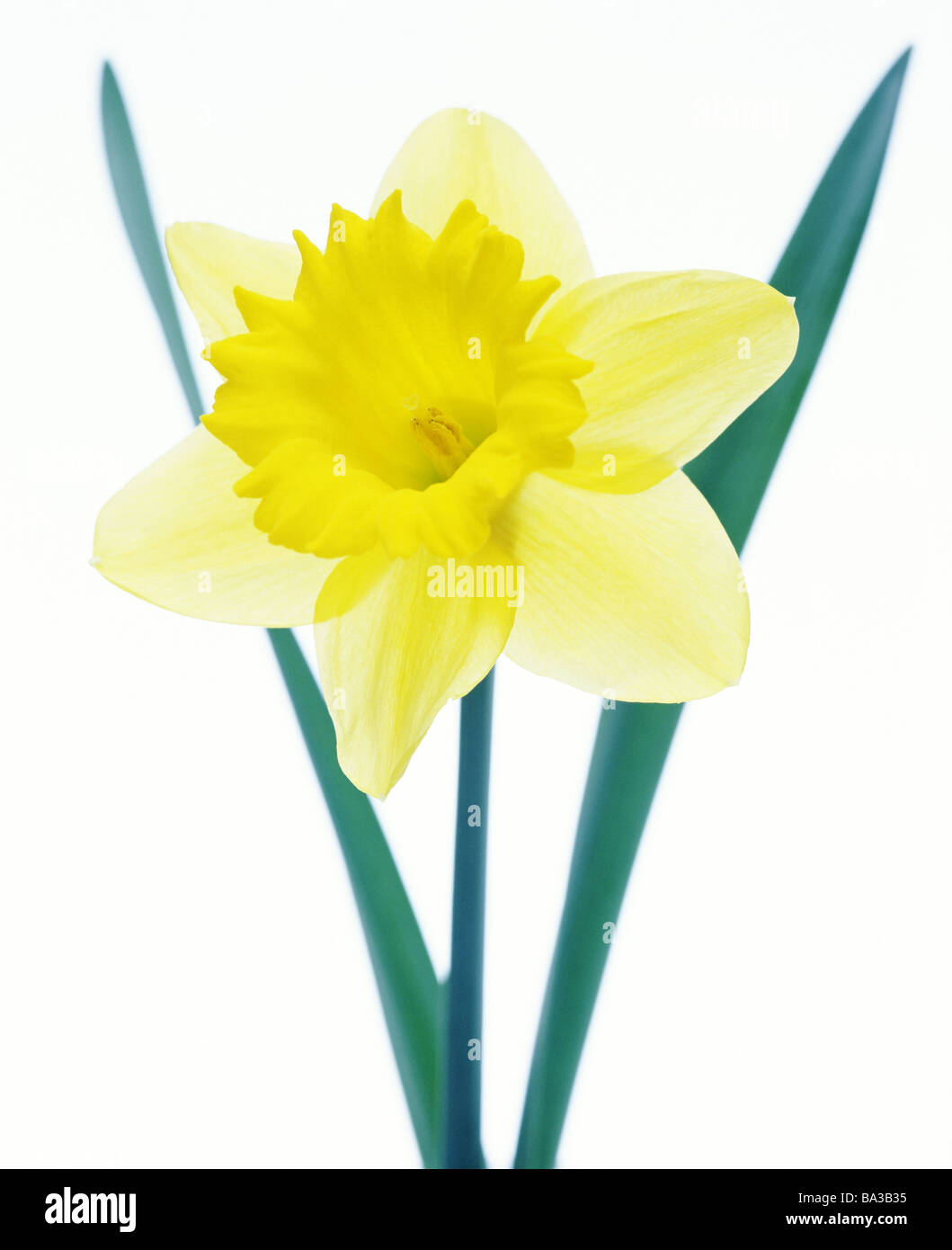 Sign spring hi-res stock photography and images - Alamy