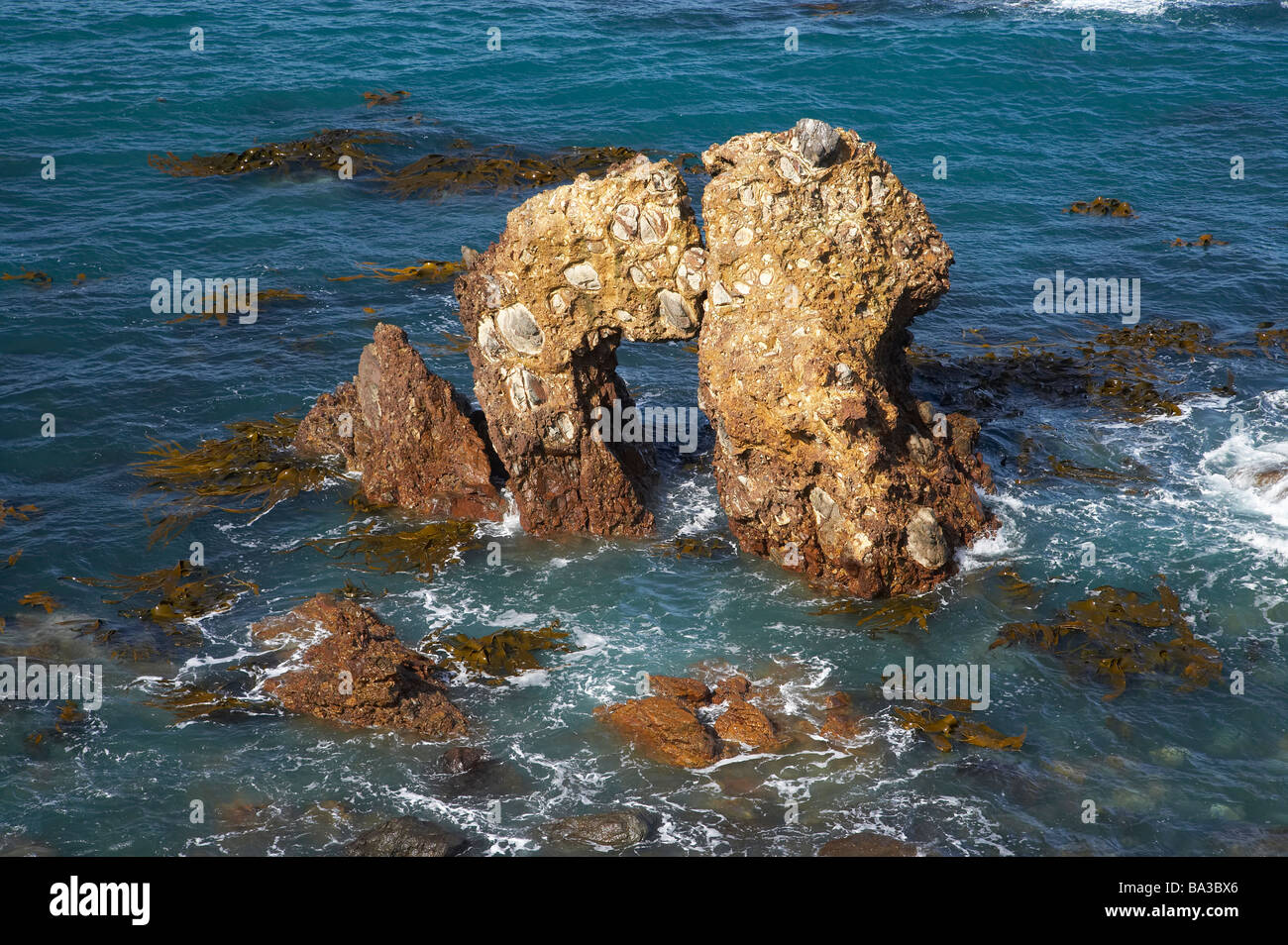 Natural Arch Huriawa Peninsula Historic Maori Pa Site Karitane near