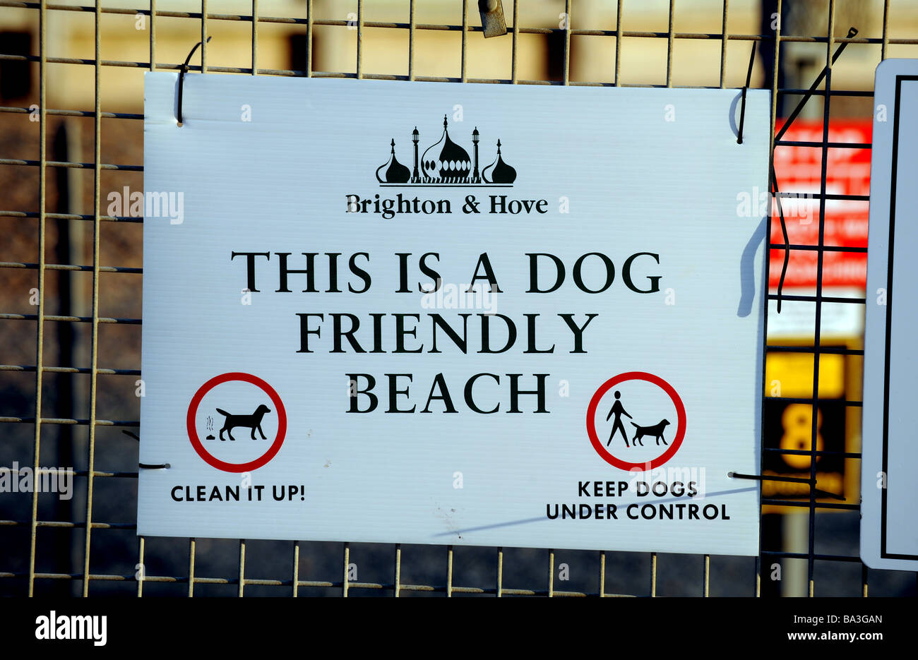 Dog friendly beach sign in brighton Stock Photo