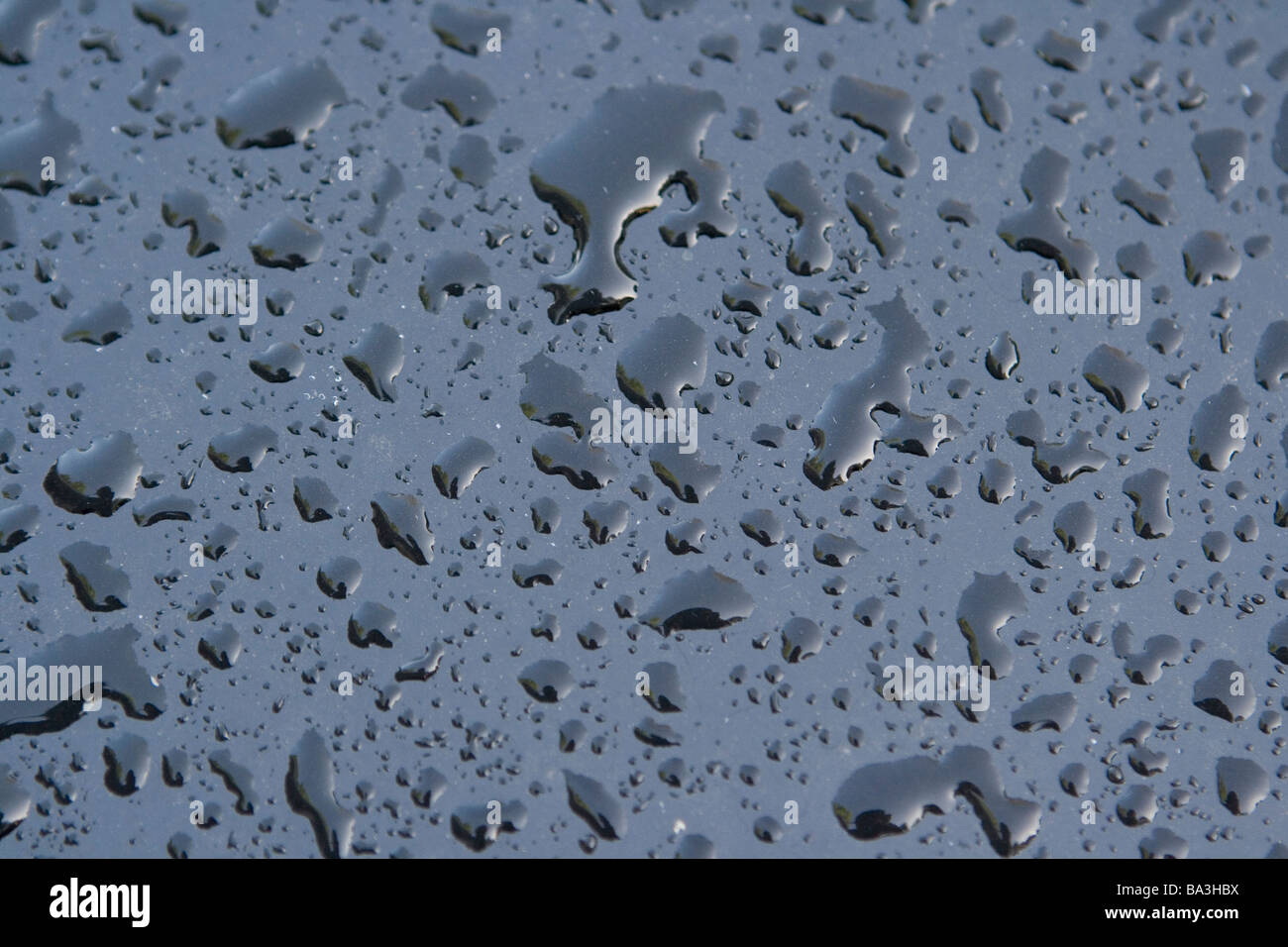 water droplets on the surface of a waxed car Stock Photo