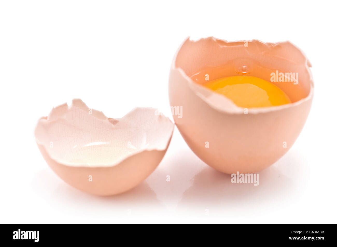 egg isolated on white Stock Photo