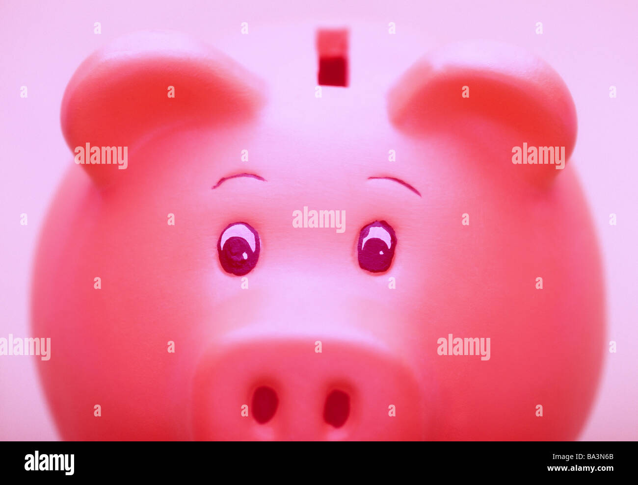 Stock Photo