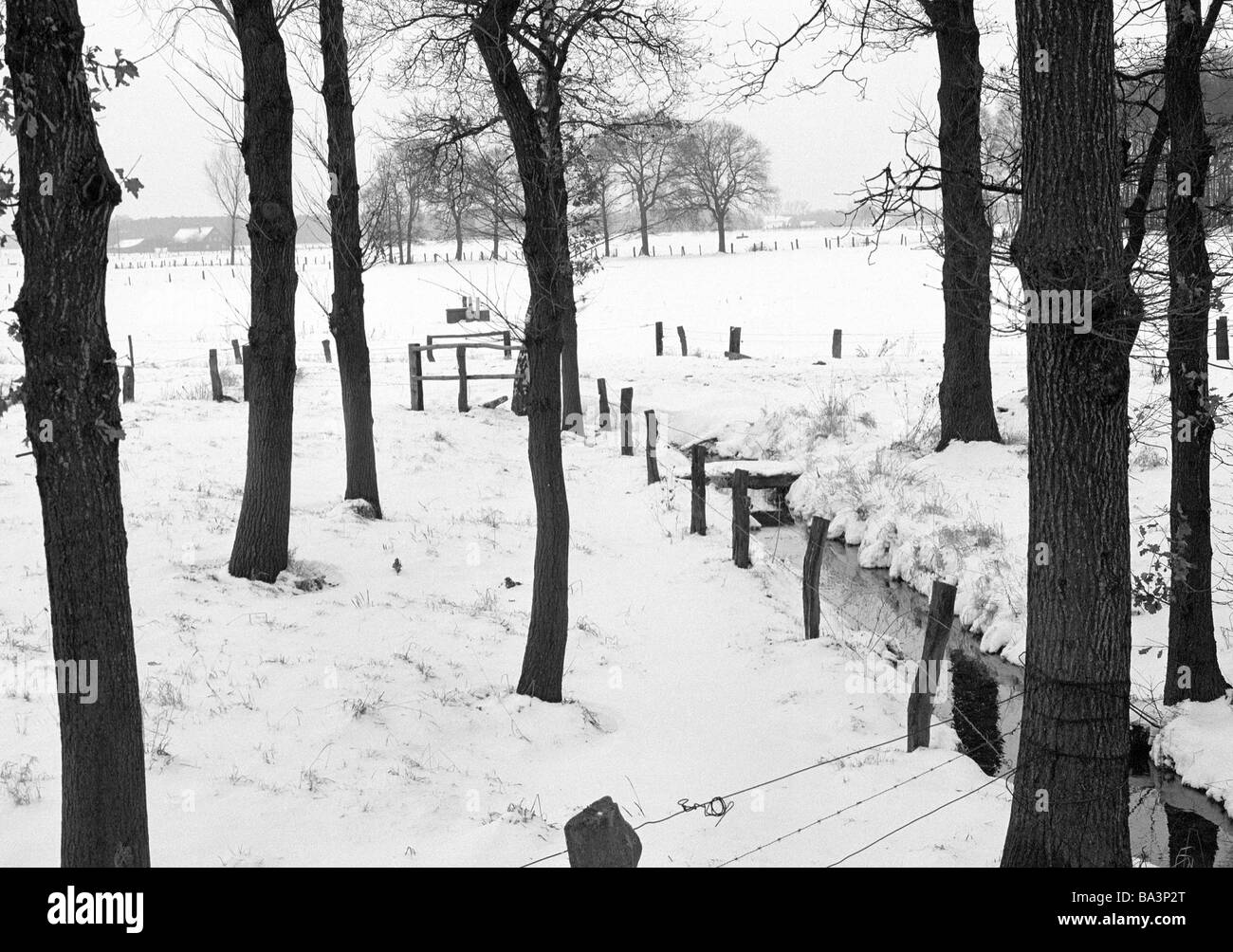 Seventies, black and white photo, winter, weather, snow, snowy landscape, brook, trees, barbed wire fence, D-Xanten, D-Xanten-Birten, Lower Rhine, North Rhine-Westphalia Stock Photo