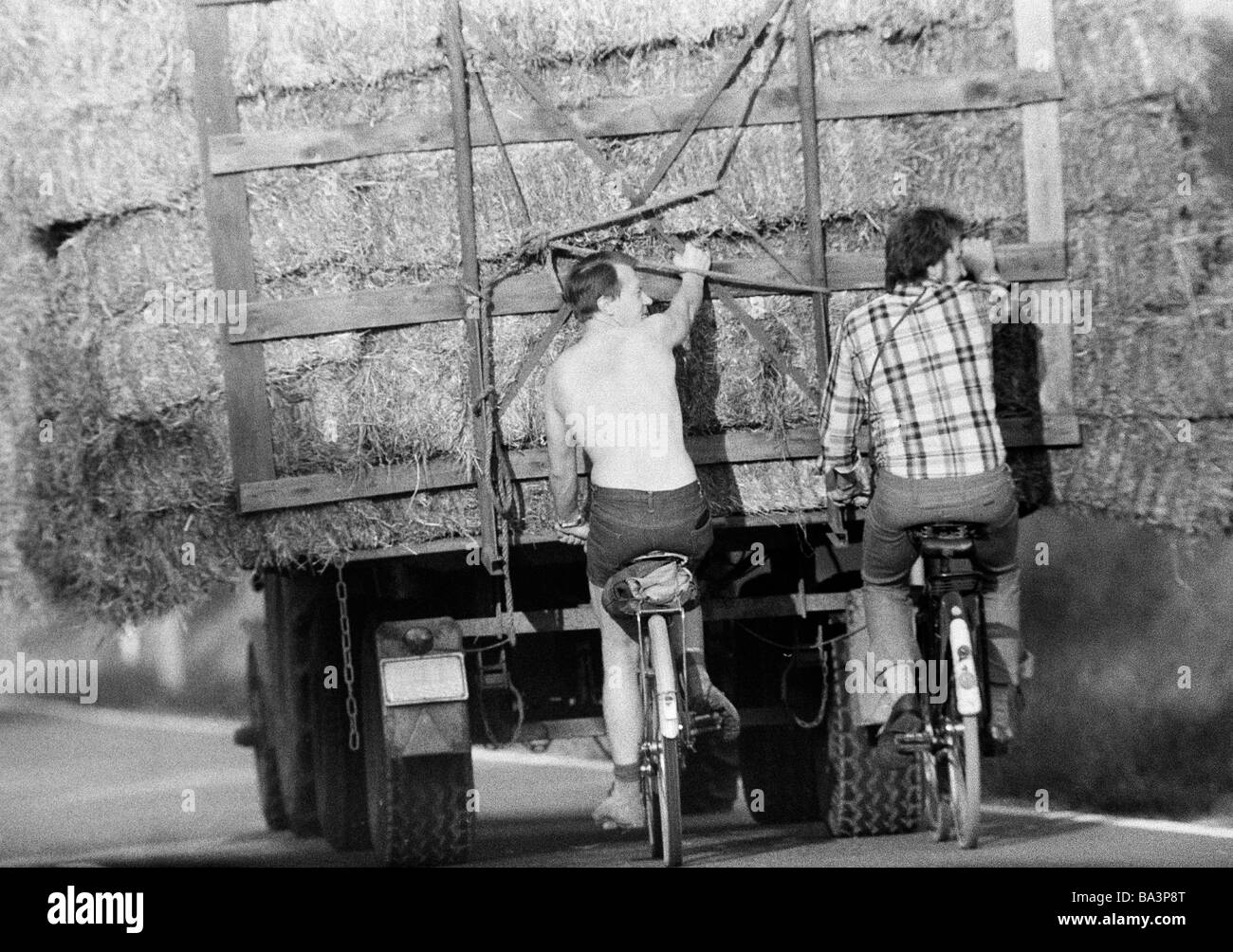 Seventies, black and white photo, autumn, hay harvest, tractor brings in the harvest, two cyclists hang on the trailer, men, aged 30 to 40 years Stock Photo