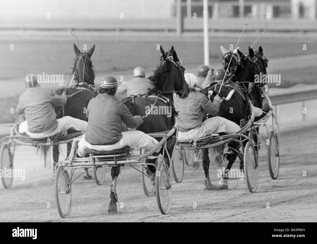 Seventies, black and white photo, sports, equestrianism, racecourse Dinslaken, trotting race 1973, horse and cart, D-Dinslaken, Lower Rhine, Ruhr area, North Rhine-Westphalia Stock Photo