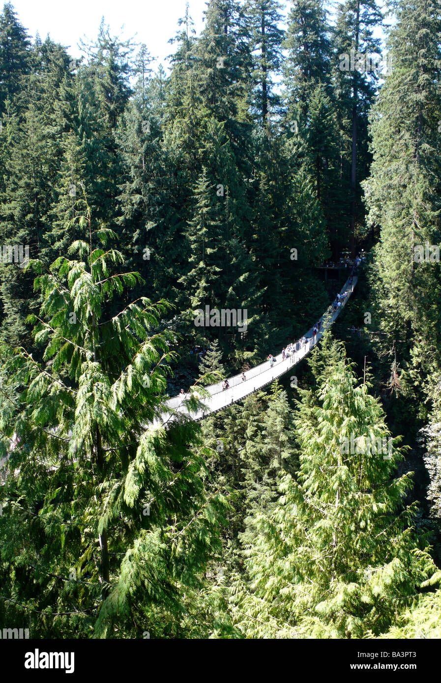 Capilano Suspension bridge, Vancouver, Canada Stock Photo Alamy