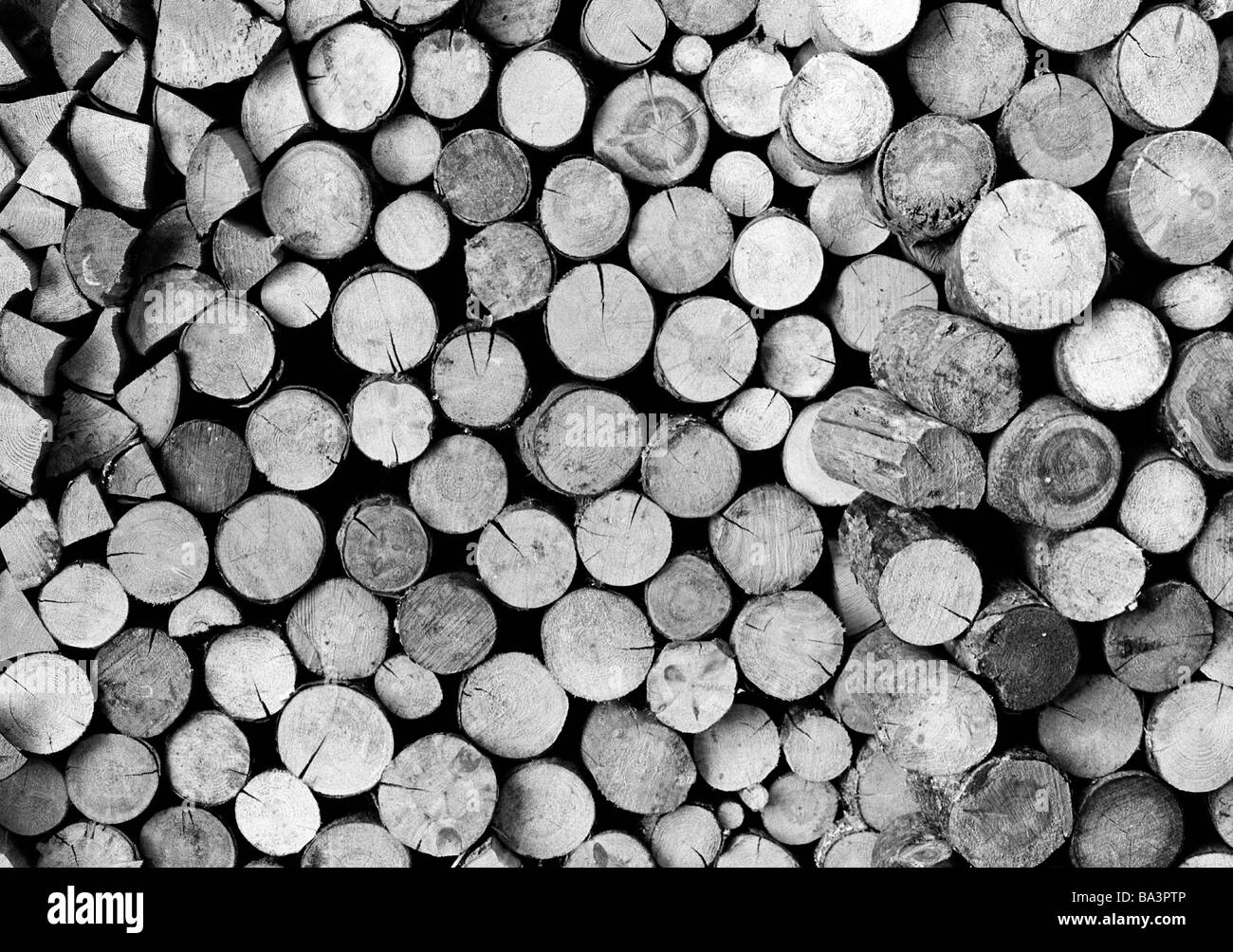 Eighties, black and white photo, deforestation, wood piling, tree logs, wooden blocks, firewood Stock Photo