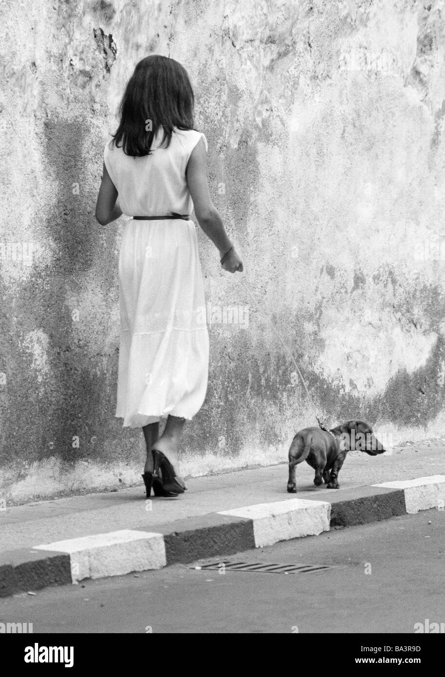 Eighties, black and white photo, human and animal, young woman walks a dachshund on a lead, aged 25 to 35 years, domestic dog, Canis lupus familiaris, Spain, Canary Islands, Canaries, Tenerife, Puerto de la Cruz Stock Photo