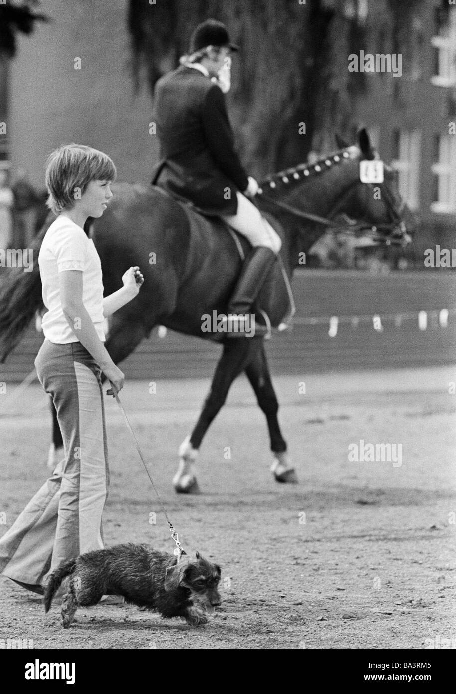 Seventies, black and white photo, human and animal, young boy walks a dog on a lead, in the background a dressage horse with horseman, aged 10 to 13 years, Ruhr area, North Rhine-Westphalia Stock Photo