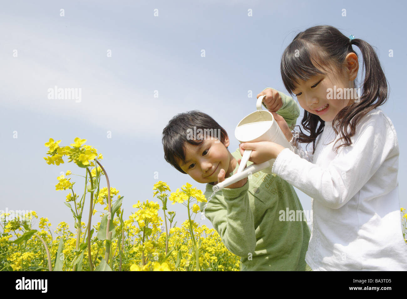 Kids watering the mustard field Stock Photo