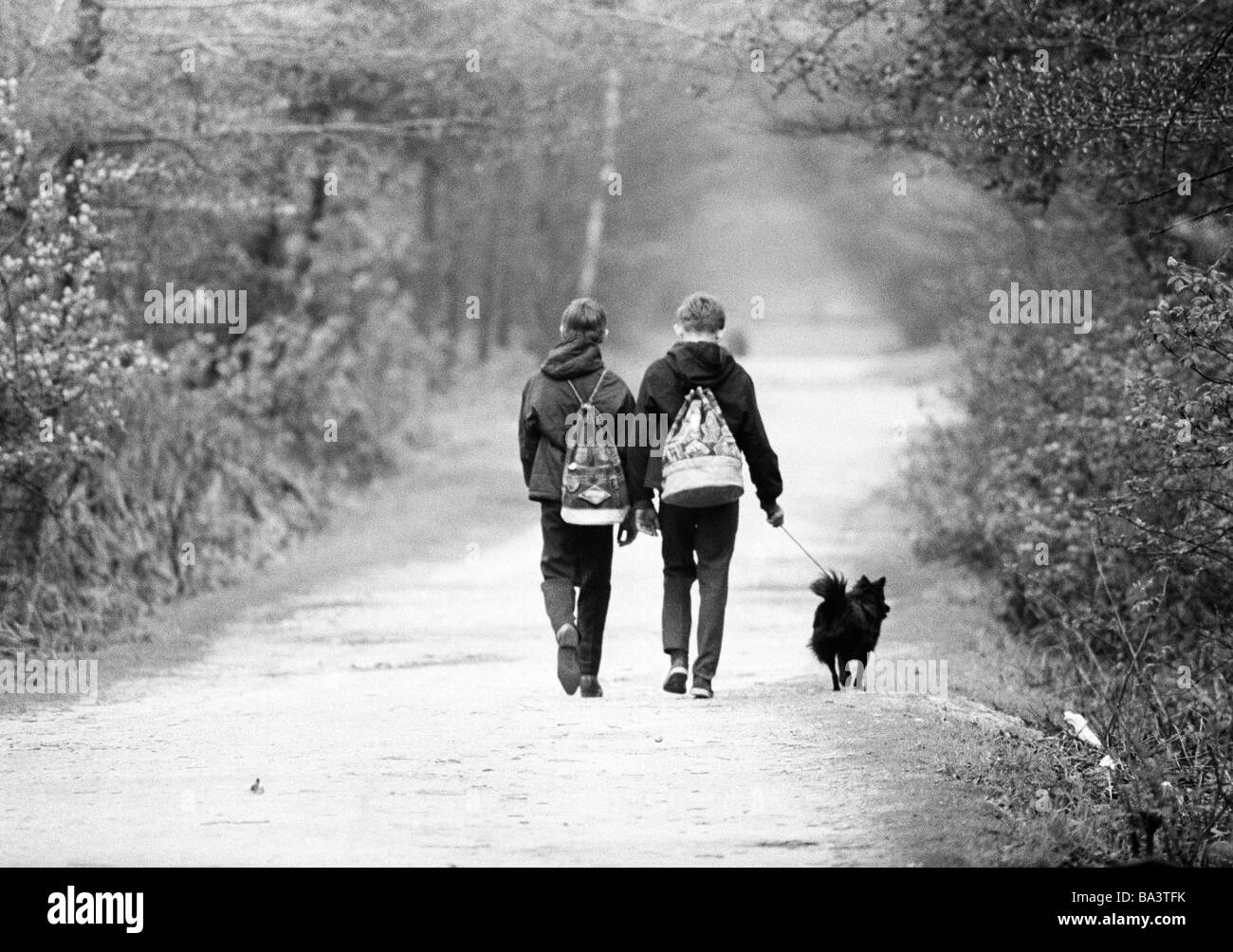 Sixties, black and white photo, people, children, two boys with backpacks an her dog on a forest walk, aged 10 to 13 years Stock Photo